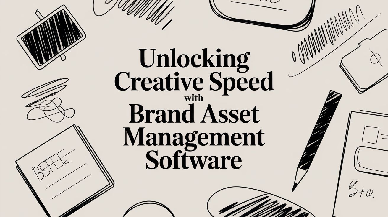 Best Brand Asset Management Software for 2026 | Sovran